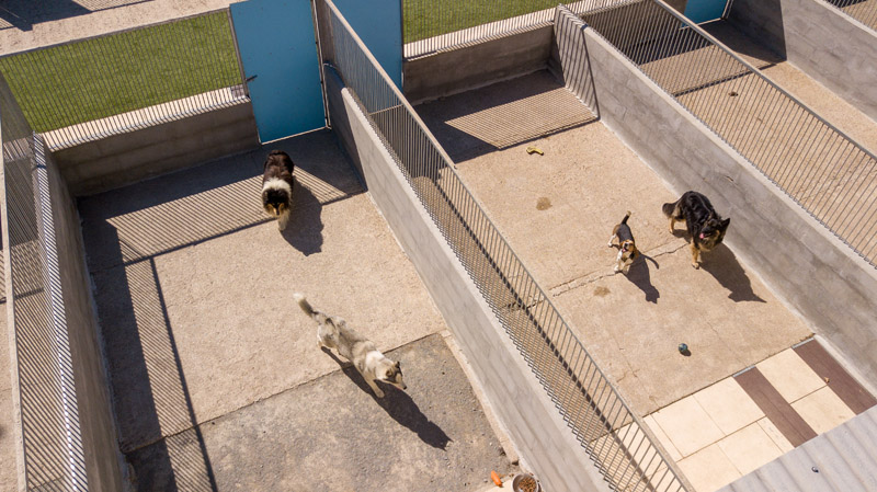 Pension d’animaux Ploërmel