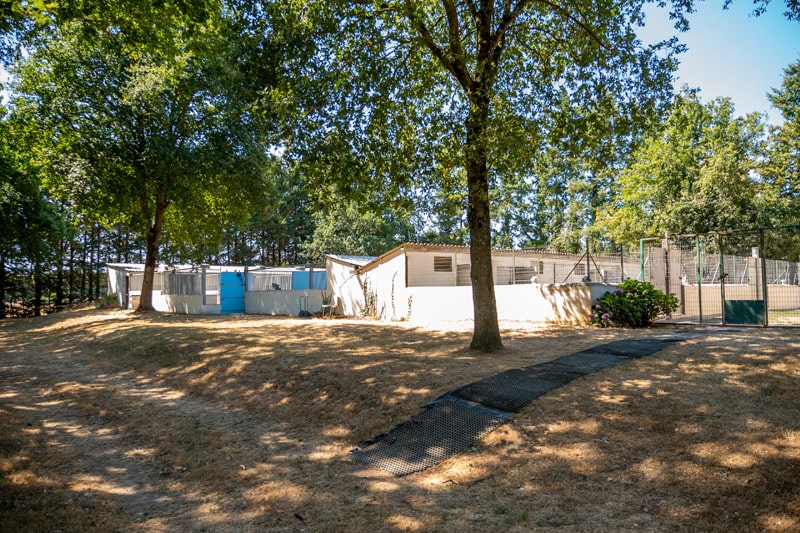 Chenil Vannes Rennes
