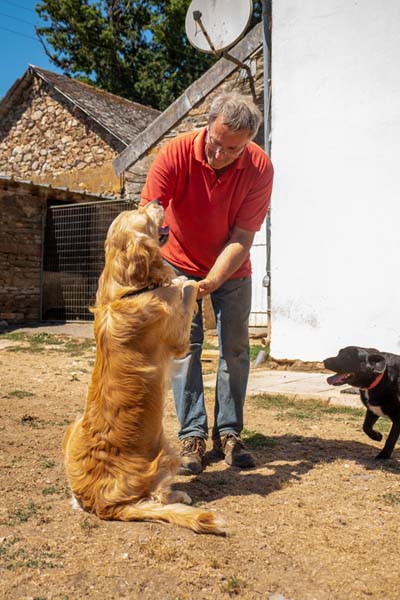 Garderie d'animaux Carentoir